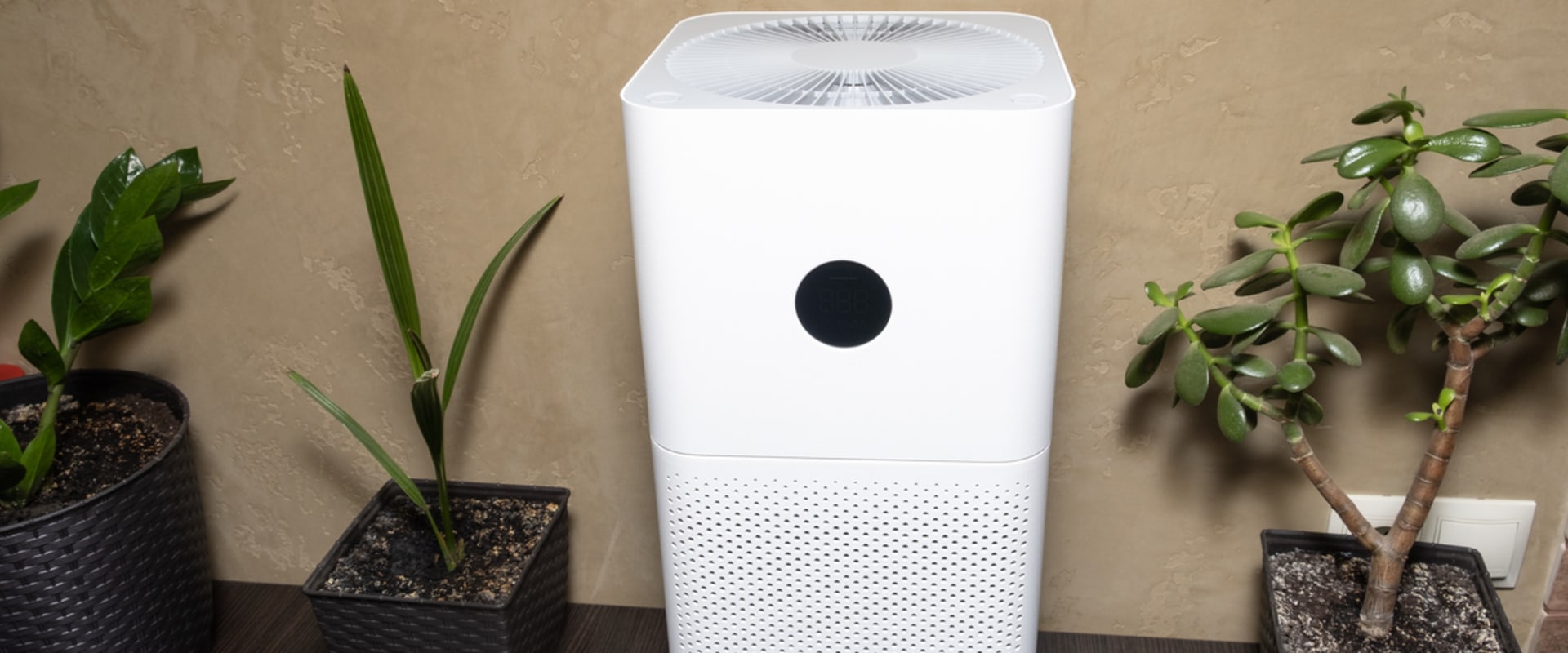 The Ultimate Guide to Choosing Between Ionic and HEPA Air Purifiers