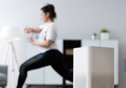 The Pros and Cons of Using Ionizers for Air Purification